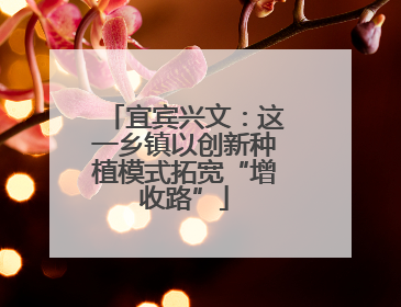 宜宾兴文：这一乡镇以创新种植模式拓宽“增收路”