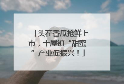 头茬香瓜抢鲜上市，十屋镇“甜蜜”产业促振兴！