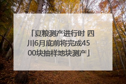 夏粮测产进行时 四川6月底前将完成4500块抽样地块测产