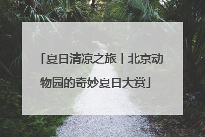 夏日清凉之旅丨北京动物园的奇妙夏日大赏
