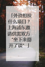 外资想投什么项目？上海浦东邀请供需双方“坐下来掰开了谈”