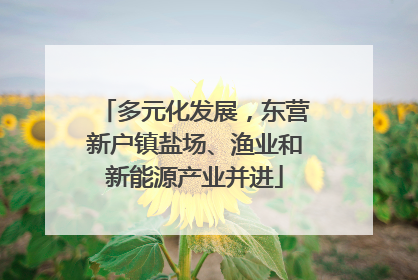 多元化发展，东营新户镇盐场、渔业和新能源产业并进