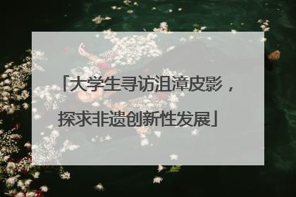 大学生寻访沮漳皮影，探求非遗创新性发展