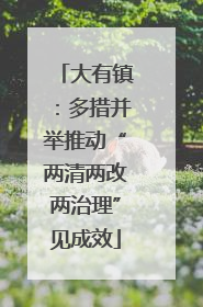 大有镇：多措并举推动“两清两改两治理”见成效