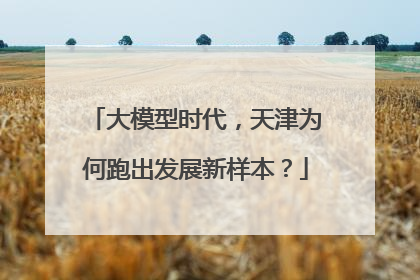 大模型时代，天津为何跑出发展新样本？