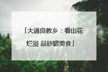 大通良教乡：看山花烂漫 品砂罐美食