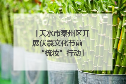 天水市秦州区开展伏羲文化节前 “梳妆”行动