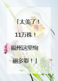 太美了！11万株！福州这里绚丽多彩！