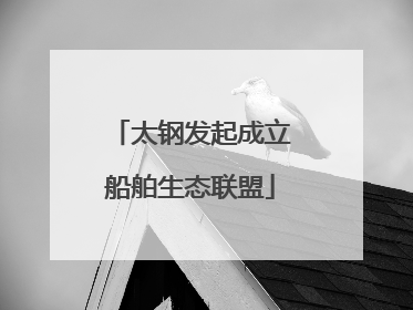 太钢发起成立船舶生态联盟