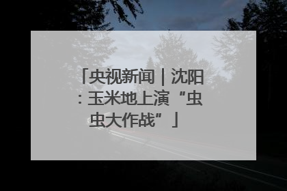 央视新闻｜沈阳：玉米地上演“虫虫大作战”