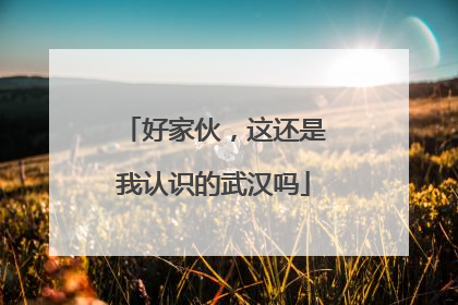 好家伙，这还是我认识的武汉吗