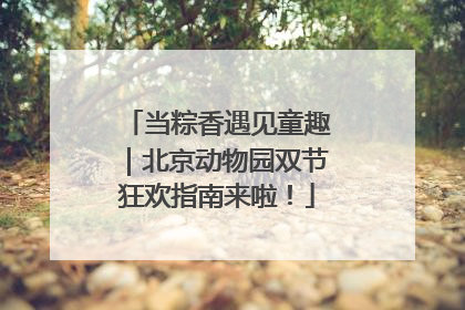 当粽香遇见童趣｜北京动物园双节狂欢指南来啦！
