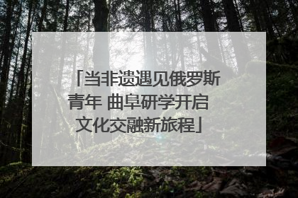 当非遗遇见俄罗斯青年 曲阜研学开启文化交融新旅程