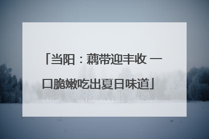 当阳：藕带迎丰收 一口脆嫩吃出夏日味道