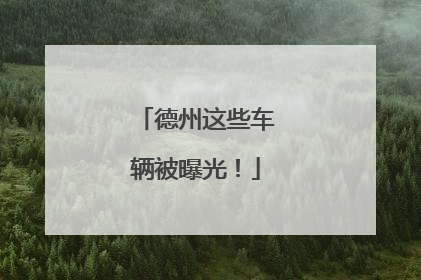 德州这些车辆被曝光！