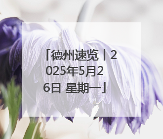 德州速览丨2025年5月26日 星期一