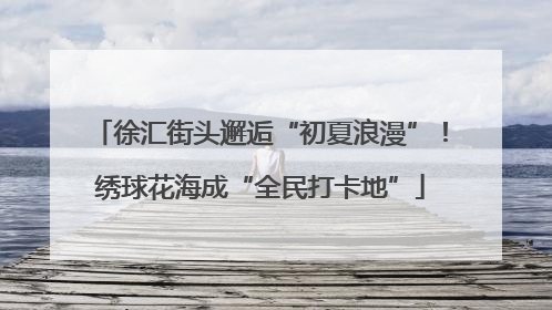 徐汇街头邂逅“初夏浪漫”！绣球花海成“全民打卡地”