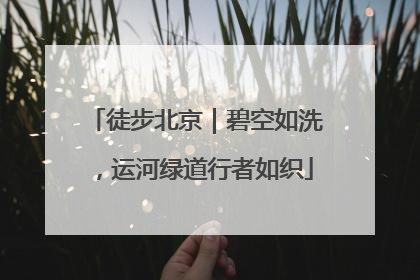 徒步北京｜碧空如洗，运河绿道行者如织