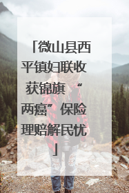 微山县西平镇妇联收获锦旗 “两癌”保险理赔解民忧