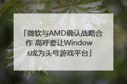 微软与AMD确认战略合作 高呼要让Windows成为头号游戏平台