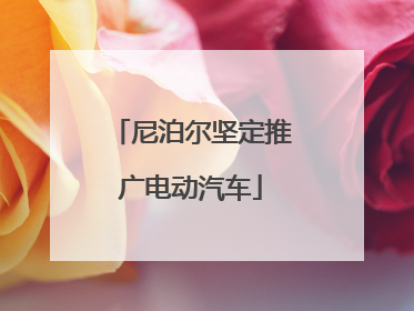 尼泊尔坚定推广电动汽车