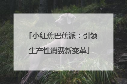 小红蕉巴蕉派：引领生产性消费新变革