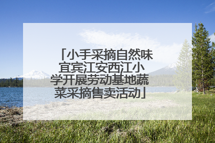 小手采摘自然味 宜宾江安西江小学开展劳动基地蔬菜采摘售卖活动