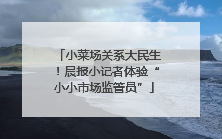 小菜场关系大民生！晨报小记者体验“小小市场监管员”