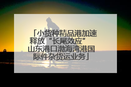 小货种精品港加速释放“长尾效应” 山东港口渤海湾港国际件杂货运业务