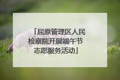 屈原管理区人民检察院开展端午节志愿服务活动
