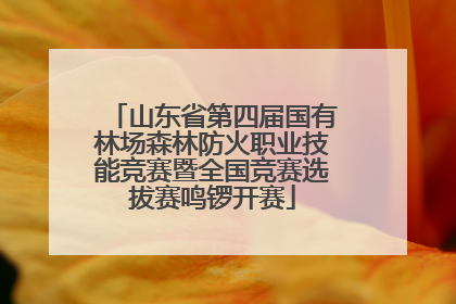 山东省第四届国有林场森林防火职业技能竞赛暨全国竞赛选拔赛鸣锣开赛