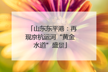 山东东平港：再现京杭运河“黄金水道”盛景