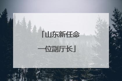 山东新任命一位副厅长