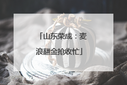 山东荣成：麦浪翻金抢收忙