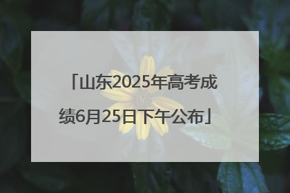 山东2025年高考成绩6月25日下午公布