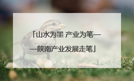 山水为墨 产业为笔——陕南产业发展走笔