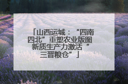 山西运城：“四南四北”重塑农业版图 新质生产力激活“三晋粮仓”