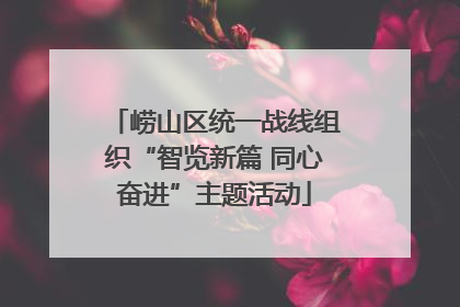 崂山区统一战线组织“智览新篇 同心奋进”主题活动