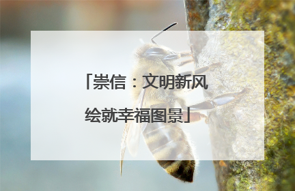 崇信：文明新风绘就幸福图景