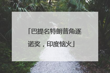 巴提名特朗普角逐诺奖，印度恼火
