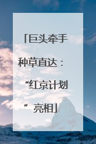 巨头牵手种草直达：“红京计划”亮相