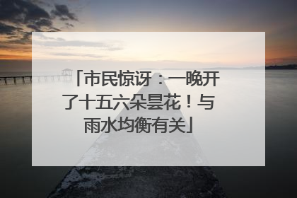 市民惊讶:一晚开了十五六朵昙花!与雨水均衡有关