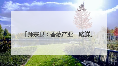 师宗县：香葱产业一路鲜
