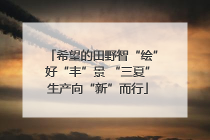 希望的田野智“绘”好“丰”景 “三夏”生产向“新”而行