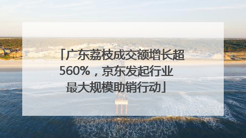 广东荔枝成交额增长超560%，京东发起行业最大规模助销行动