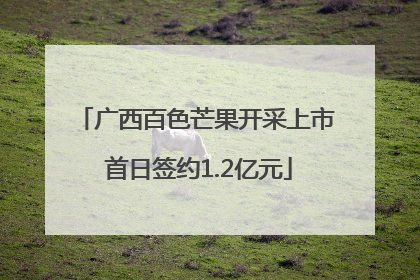 广西百色芒果开采上市 首日签约1.2亿元