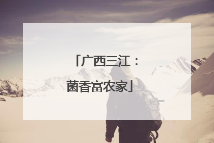 广西三江：菌香富农家