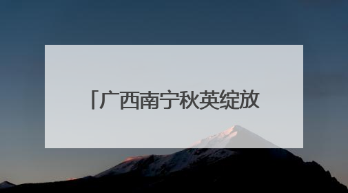广西南宁秋英绽放 浪漫花海醉游人
