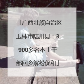 广西壮族自治区玉林市陆川县：3900多名本土干部回乡解纷促和