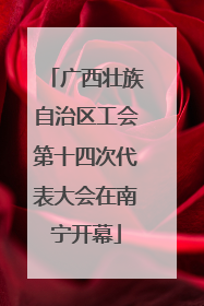 广西壮族自治区工会第十四次代表大会在南宁开幕